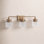 Adalina 3-Light Dimmable Vanity Light