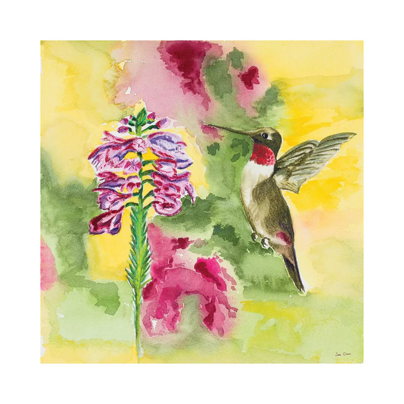 Watercolour Hummingbird by Jan Odum - Wrapped Canvas Painting, 30.48 cm H x 30.48 cm W