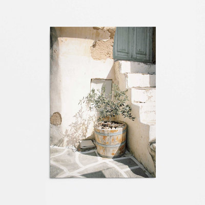 Olive Tree in the Sun Print