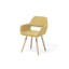 Alida 49cm H Upholstered Armchair-36246341