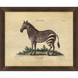 Crackled Zebra II Print