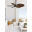 Bali 52in 5-Blades Indoor/Outdoor Ceiling Fan with Remote Control and Light-797982458