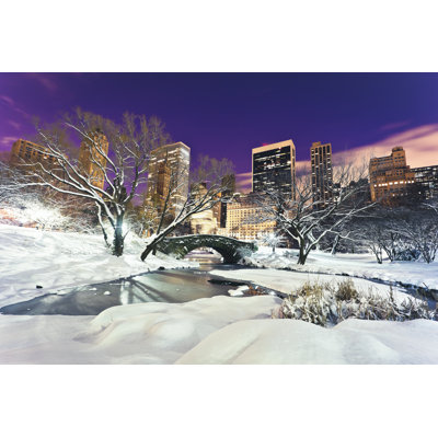 Central Park At Winter - Wrapped Canvas Print
