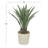 31'' Faux Agave Plant in Pot