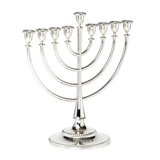 Roseland Menorah