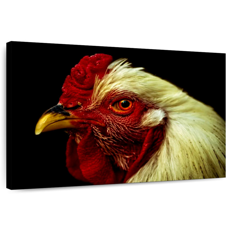 Brampt Chicken Head, 32" H x 48" W