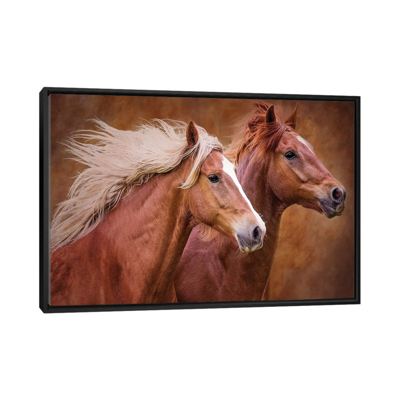 «Purebred I», impression sur toile, H 18 po x l 26 po x P 1,5 po, Toile avec cadre noir, Pas de tapis