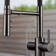 Catris Flexo Filter-Ready Semi-Pro Pull-Down Dual-Spray Kitchen Faucet