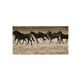 Chasing Dreams Print by Sofia Fox