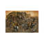 Noah's Ark by Ruane Manning - Painting on Canvas-1957765200