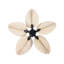 Aschwin 123cm Ceiling Fan with Light Kit