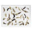 Falling Feathers White 2 Print by Atkinson, Sarah-2016659099-2016659098