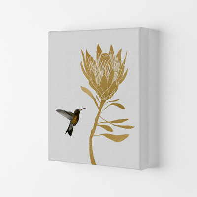 Hummingbird & Flower I - Print