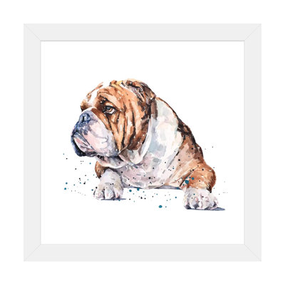 "English Bull Dog I" par Edwatercolours-impression