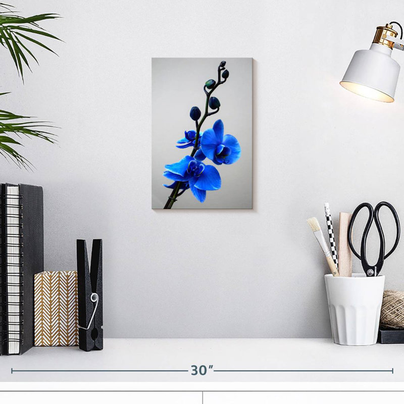 Orchidée bleue Harnek, H 12 po x l 8 po