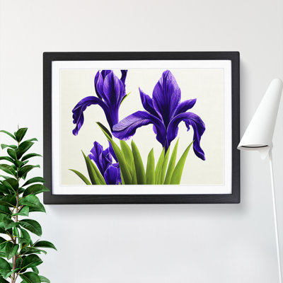 Spectacular Iris Flowers - Framed Print