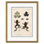 Frogs Giclee Print