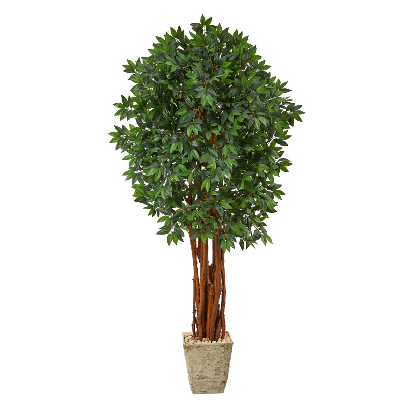 Faux Lychee Tree in Planter, 72" H x 25" W x 20" D