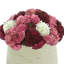 Assorted Sedum in Fiberstone Pot