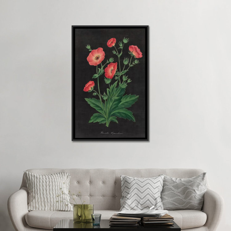 «Botanical Charte», impression sur toile tendue, H 26 po x l 18 po x P 1,5 po, Toile encadrée noire, Pas de tapis