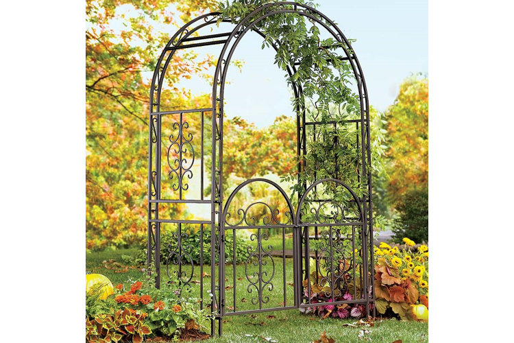 Top Arbors Arbors