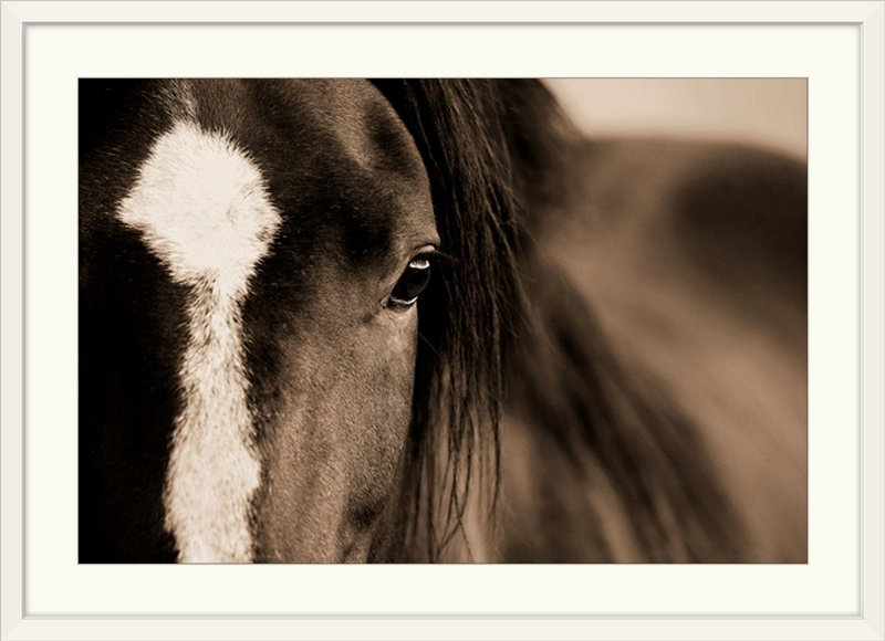 «Kemani Dark Eyes», Lisa Dearing, reproduction de photo, Cadre blanc, H 28 po x l 38 po x P 1 po
