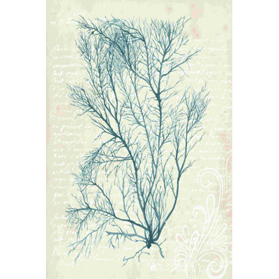 Bleu sarcelle algue II