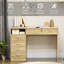Fernandeo Iron Computer Desk-191016081