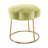 Bonview Flower Upholstered Velvet Metal Accent Stool-2026025199
