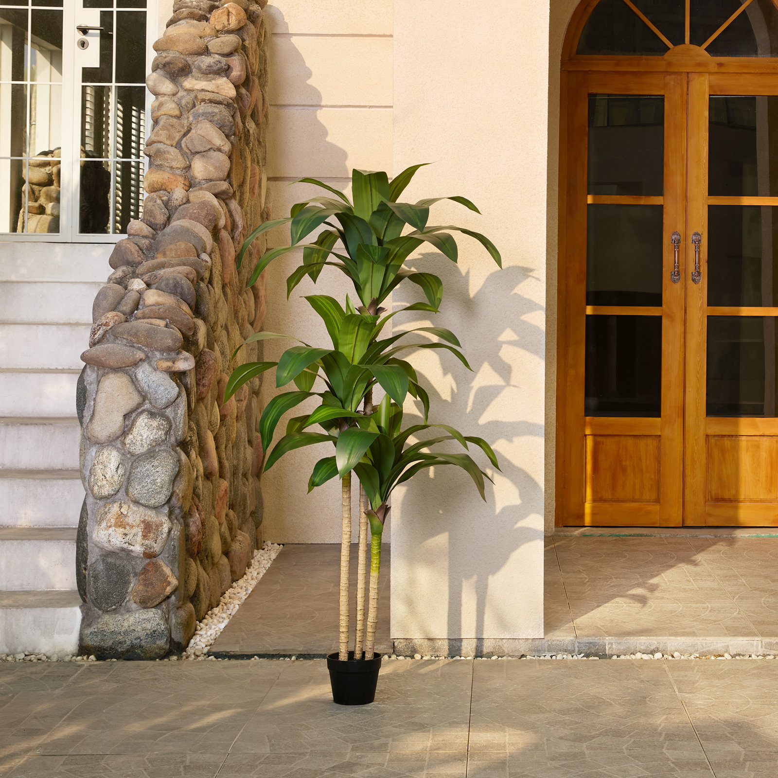 Adcock 72" Dracaena Tree in Pot, Green, 60" H x 22" W x 22" D