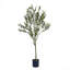 ARBRE D'OLIVE ARTIFIQUE 150CM 150CM