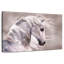 Cheval brun Brampt-106052771