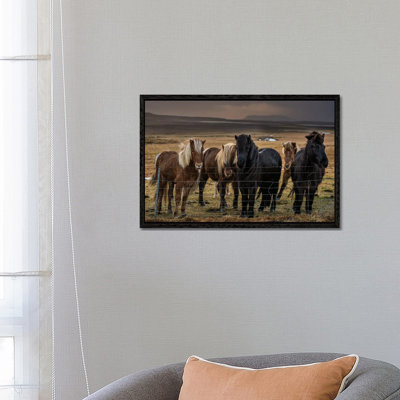 Icelandic Ponies 1 Piece Wall Art on Canvas
