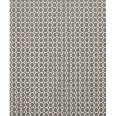 Tissu étalon