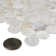 Conchella 1" x 1" Seashell Penny Round Mosaic Tile