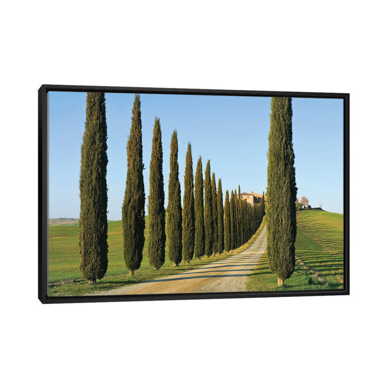 « cypress lineed saleté road », reproduction de photo sur toile, H 18 po x l 26 po x P 1,5 po, Toile avec cadre noir