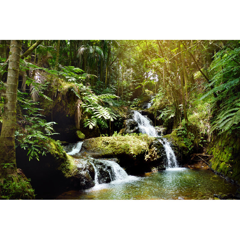 Onomea Falls by Mnstudio - Wrapped Canvas Print, 30cm H x 46cm W