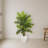 Areca Palm Artificial Tree in White Planter