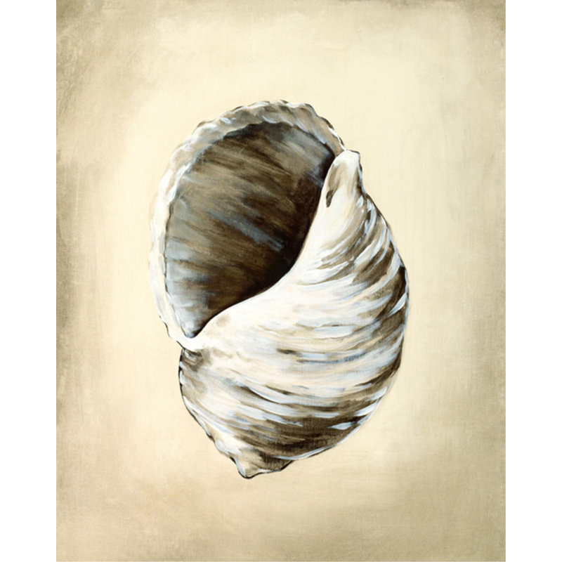 Seashells III Print by Sydney Edmunds, 59" H x 47" W x 1.5" D, Outdoor
