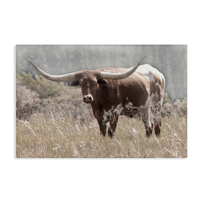 Photographie du Texas, photo par Carol Robinson, H 16 po x l 24 po