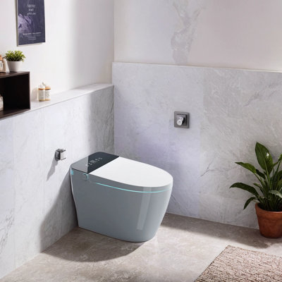 Smart Toilet: Heated Seat, Auto Open/Close, Foot Sensor, Dual Flush, Dryer,Water Tank Included