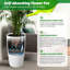 Pot Planter