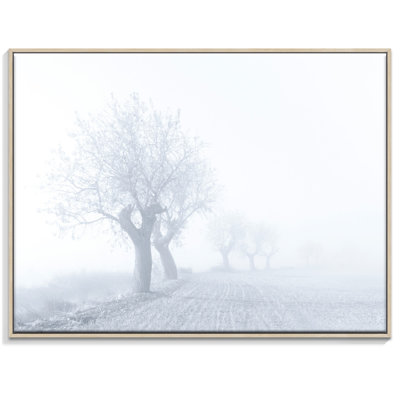 Print on Canvas