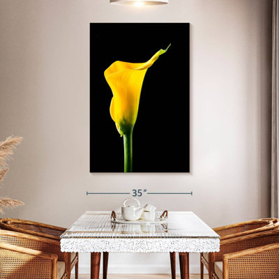 Harnek Single Calla Lily Flower