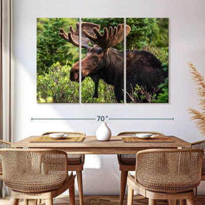 Orignal Brampt Wild Bull