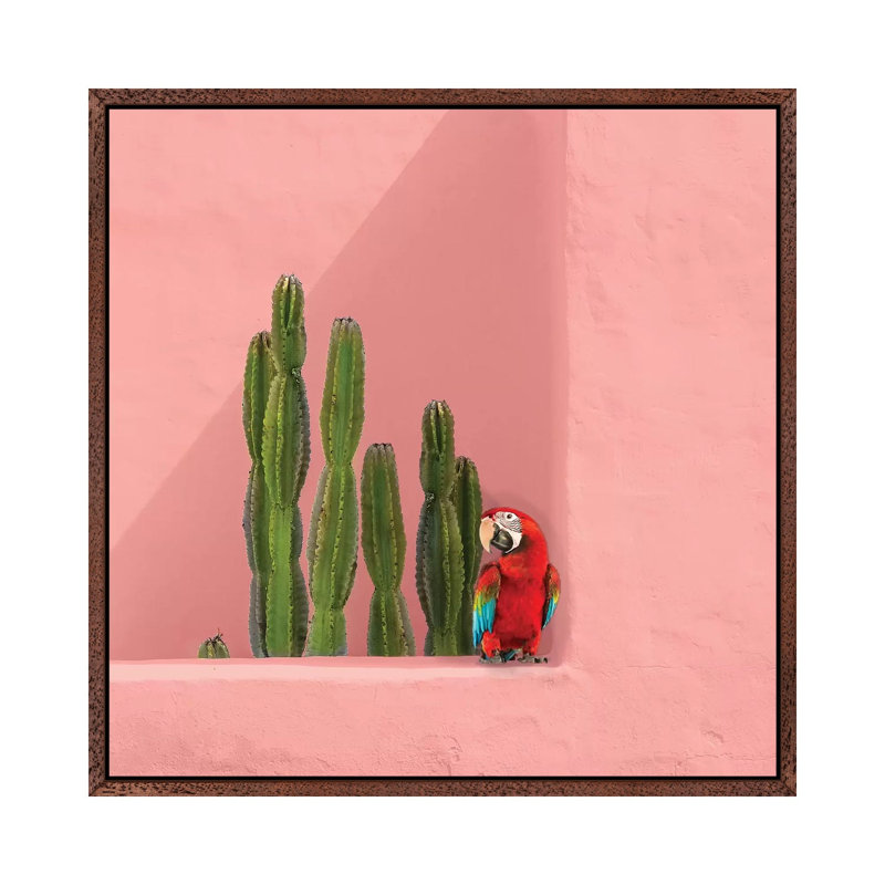 Macaw On Coral by Erin Summer - Print on Canvas, 66.04cm H x 66.04cm W x 3.81cm D, Classic Brown Wood Framed