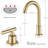 2-handle Bathroom Faucet with Drain Assembly