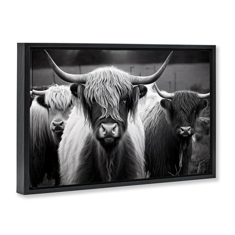  Black Highland Cows Framed Floater Canvas by Franklyn Gregory, Jet Black Floater Frame, 17" H x 25" W