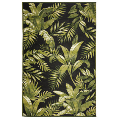 Striplin Indoor / Outdoor Rug