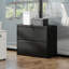 Robuste, 2 classeurs en acier, rangement pour bureau personnel, ouverture de tiroir lisse, capacité de 110 lb, fonctionnalité, organisation facile des dossiers, glissières silencieuses, conception, assemblage